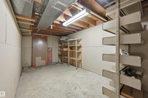 219 Buchanan Close Nw, Edmonton, AB - Indoor Photo Showing Basement
