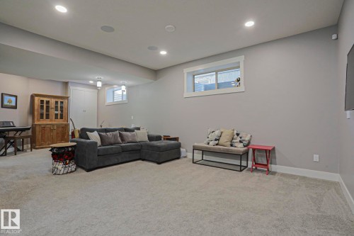 91 Danfield Place, Spruce Grove, AB - Indoor Photo Showing Basement