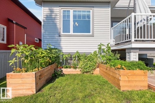 Manicured backyard with multiple raised garden beds featuring plantings - 109 Selkirk Place, Leduc, AB - Outdoor With Exterior