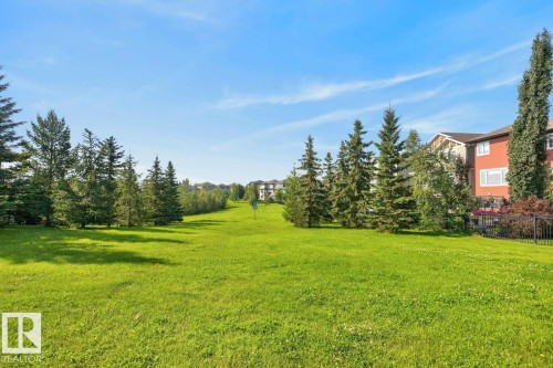 Expansive green space featuring a manicured lawn and mature evergreen trees - 109 Selkirk Place, Leduc, AB - Outdoor