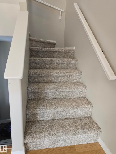 Carpeted staircase with light gray walls, white balustrade, and white handrails - 4120 47 Street, Drayton Valley, AB - Indoor Photo Showing Other Room