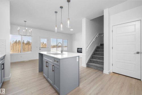 4182 Kinglet Drive Nw, Edmonton, AB - Indoor Photo Showing Kitchen With Upgraded Kitchen