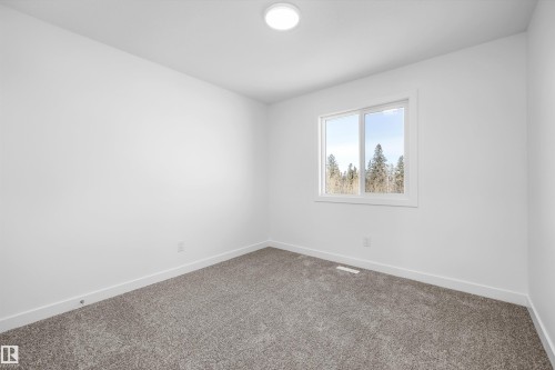 4182 Kinglet Drive Nw, Edmonton, AB - Indoor Photo Showing Other Room