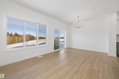 4184 Kinglet Drive Nw, Edmonton, AB - Indoor With Fireplace