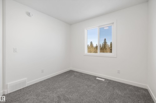 4184 Kinglet Drive Nw, Edmonton, AB - Indoor Photo Showing Other Room