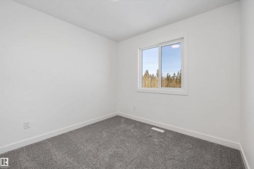 4184 Kinglet Drive Nw, Edmonton, AB - Indoor Photo Showing Other Room