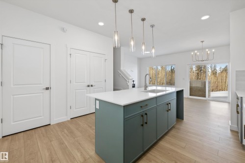 4184 Kinglet Drive Nw, Edmonton, AB - Indoor Photo Showing Kitchen