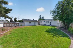 Expansive green lawn with a curved concrete border - 