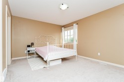 Neutral-toned room featuring a single window with white trim, light beige wall paint, and light-colored carpet flooring - 