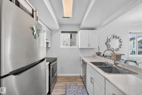 247 Lancaster Terrace Nw, Edmonton, AB - Indoor Photo Showing Kitchen With Double Sink