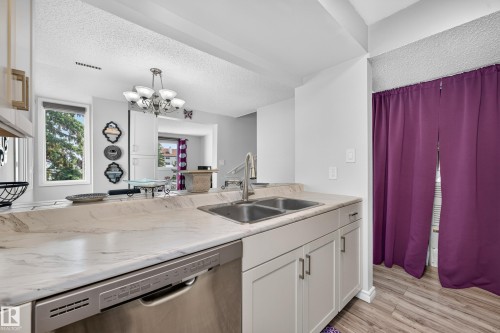 247 Lancaster Terrace Nw, Edmonton, AB - Indoor Photo Showing Kitchen With Double Sink