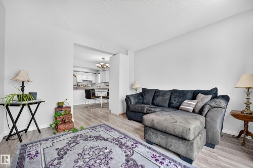 247 Lancaster Terrace Nw, Edmonton, AB - Indoor Photo Showing Living Room