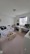 Neutral wall finishes and light-toned carpet flooring - 