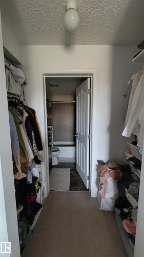 Walk-in closet featuring carpet flooring, built-in wire shelving, and a flush-mount ceiling light - #415 12045 22 Av Sw, Edmonton, AB - Indoor With Storage
