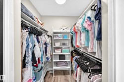 Walk-in closet featuring built-in shelving, dual hanging rods, a central storage unit with open shelving, and wood-finish flooring - 
