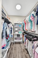Walk-in closet featuring wood-finish flooring, recessed lighting, and built-in shelving - 
