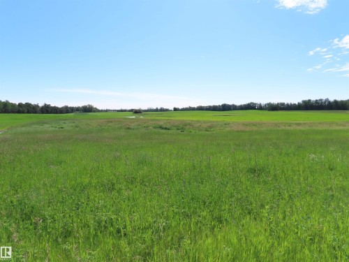 Expansive green field with natural vegetation and distant tree lines under a clear sky - Twp 560, Rural Lac Ste. Anne County, AB 