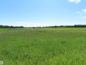 Expansive green field with natural vegetation and distant tree lines under a clear sky - Twp 560, Rural Lac Ste. Anne County, AB 