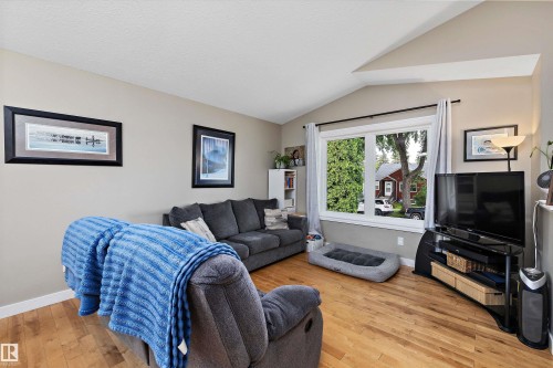 11432 87 Street Nw, Edmonton, AB - Indoor Photo Showing Living Room