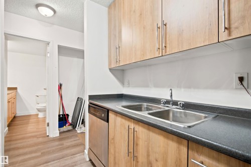 #112 10529 93 St Nw, Edmonton, AB - Indoor Photo Showing Kitchen With Double Sink