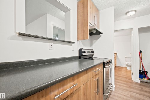 #112 10529 93 St Nw, Edmonton, AB - Indoor Photo Showing Kitchen