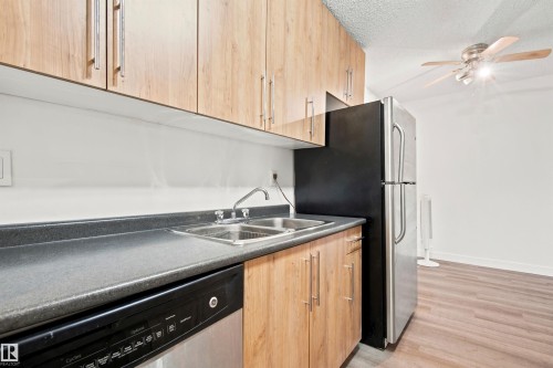 #112 10529 93 St Nw, Edmonton, AB - Indoor Photo Showing Kitchen With Double Sink