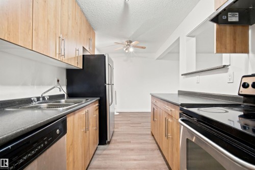 #112 10529 93 St Nw, Edmonton, AB - Indoor Photo Showing Kitchen With Double Sink