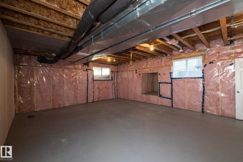 5233 Crabapple Link Sw, Edmonton, AB - Indoor Photo Showing Basement