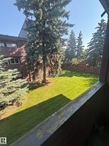 Expansive lawn area surrounded by mature evergreen trees and a wooden privacy fence - #206 2311 119 St Nw, Edmonton, AB - Outdoor