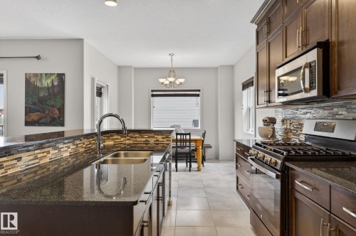 22068 95 Avenue Nw, Edmonton, AB - Indoor Photo Showing Kitchen With Double Sink With Upgraded Kitchen