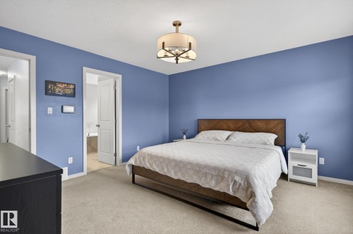 22068 95 Avenue Nw, Edmonton, AB - Indoor Photo Showing Bedroom