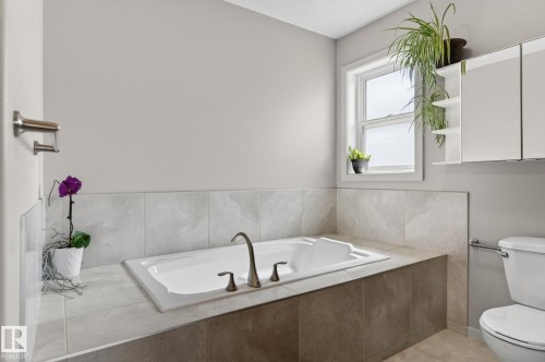 22068 95 Avenue Nw, Edmonton, AB - Indoor Photo Showing Bathroom