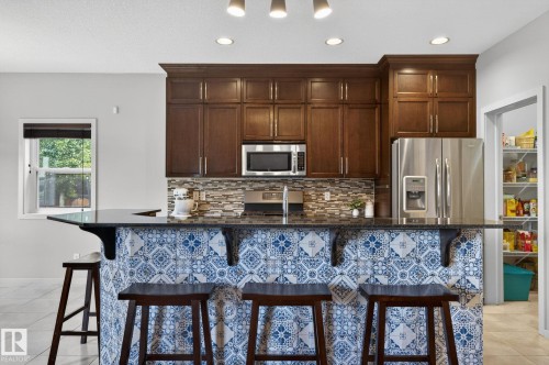 22068 95 Avenue Nw, Edmonton, AB - Indoor Photo Showing Kitchen