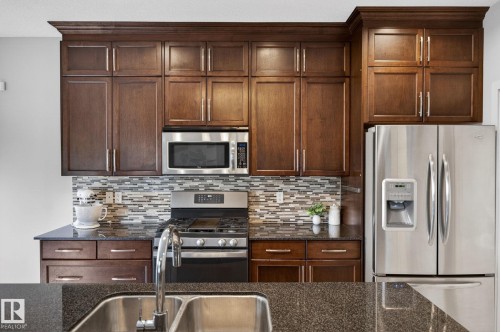 22068 95 Avenue Nw, Edmonton, AB - Indoor Photo Showing Kitchen With Stainless Steel Kitchen With Double Sink With Upgraded Kitchen
