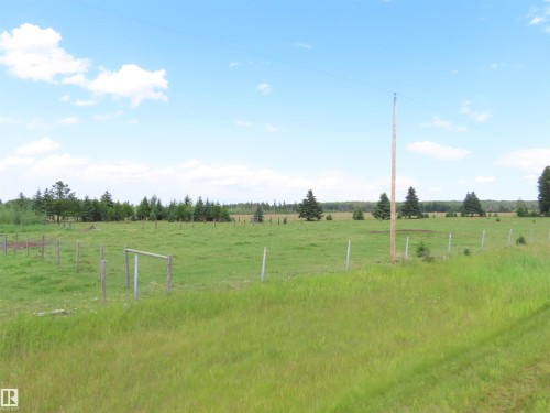 Expansive green field featuring mature evergreen trees and partial fencing - 11216 Twp 532, Rural Yellowhead, AB 