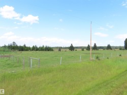 Expansive green field featuring mature evergreen trees and partial fencing - 