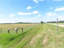 Expansive open field with green and golden grasses under a bright blue sky with scattered clouds - 11216 Twp 532, Rural Yellowhead, AB 
