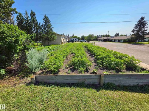 Manicured garden beds featuring established plantings, bordered by timber retaining walls - 5201 54 Street, Elk Point, AB - Outdoor