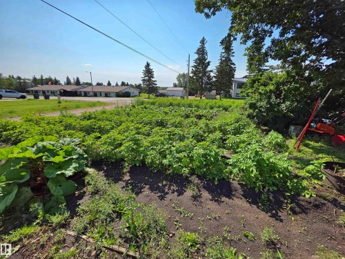 Expansive garden area featuring cultivated plots - 5201 54 Street, Elk Point, AB - Outdoor With View