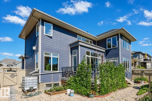 Contemporary exterior with extensive window placements, dark blue horizontal siding, and a rear deck with black railings - 4125 Kennedy Green Sw, Edmonton, AB - Outdoor
