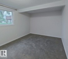 Carpeted room featuring a white-trimmed window, neutral wall paint, and white baseboards - 