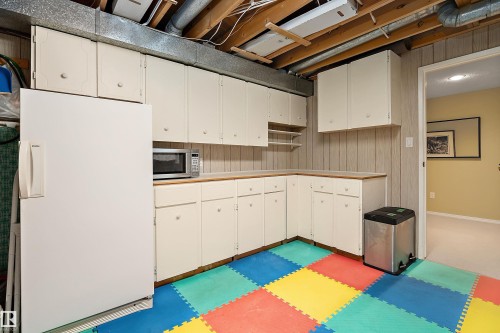 10972 35 Avenue Nw, Edmonton, AB - Indoor Photo Showing Basement