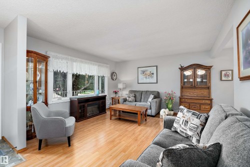 10972 35 Avenue Nw, Edmonton, AB - Indoor Photo Showing Living Room