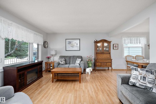10972 35 Avenue Nw, Edmonton, AB - Indoor Photo Showing Living Room