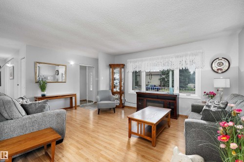 10972 35 Avenue Nw, Edmonton, AB - Indoor Photo Showing Living Room