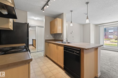 #104 13907 136 St Nw, Edmonton, AB - Indoor Photo Showing Kitchen With Double Sink