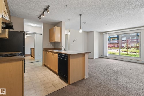 #104 13907 136 St Nw, Edmonton, AB - Indoor Photo Showing Kitchen With Double Sink