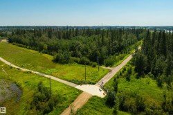 Extensive natural landscape featuring a dense forest, multiple walking paths, open grassy areas, and a paved trail intersection - 