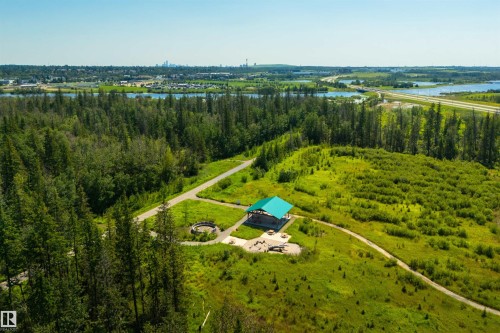 Expansive natural landscape featuring lush green foliage and mature evergreen trees - 323 Rankin Drive, St. Albert, AB - Outdoor With View
