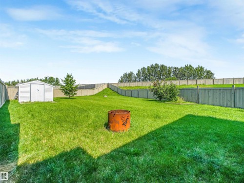 3635 11 Street Nw, Edmonton, AB - Outdoor With Backyard